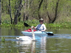 IMG 4691